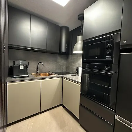 Modern Apartment, Close To The - Stogi Lejlighed *